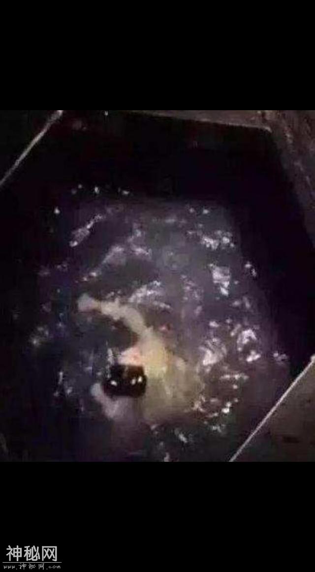 拍戏嫌井水脏，换了140桶矿泉水的女星就是她-2.jpg
