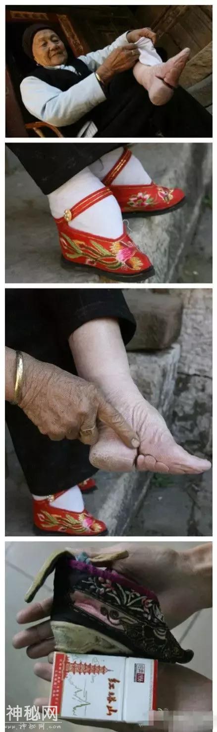 盘点！天下奇闻怪事，图组，我受惊了-20.jpg