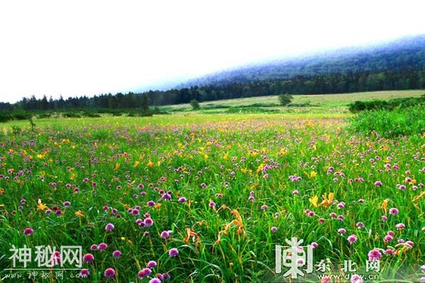 凤凰山打造UFO探秘景区 玻璃观景台可同时容纳200人-3.jpg