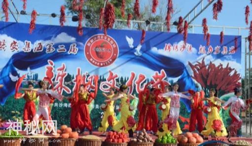 “喀纳斯湖水怪”之谜真相迷离？新疆的独特魅力如痴如醉-14.jpg