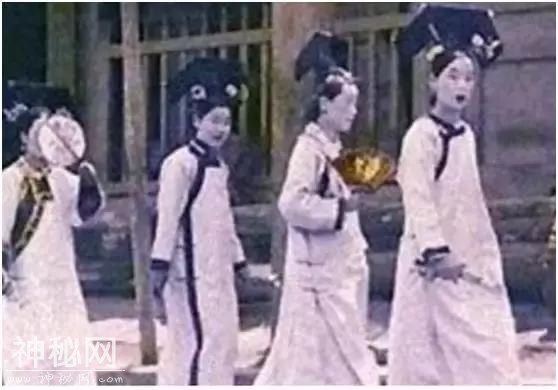 作为一部宫斗式鬼片你怎么可以烂的如此国际化-1.jpg