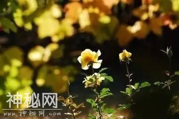 高考人文地理答题模板-4.jpg
