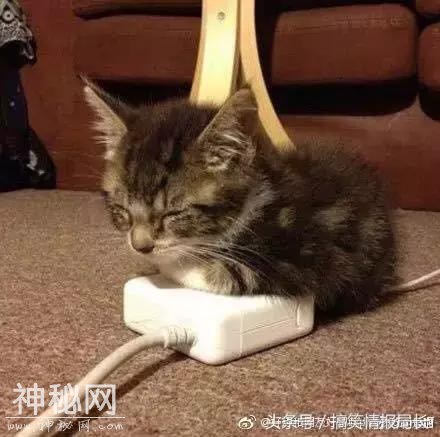 人永远猜不到别人会做什么事情 比如偷800米的公路-11.jpg