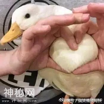 人永远猜不到别人会做什么事情 比如偷800米的公路-13.jpg