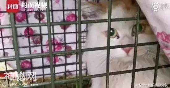 人永远猜不到别人会做什么事情 比如偷800米的公路-10.jpg