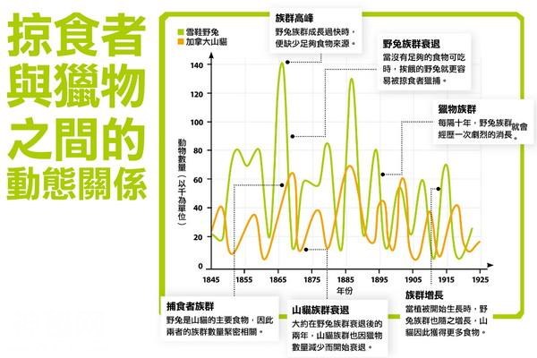 盘点那些惊奇的动物天堂-14.jpg