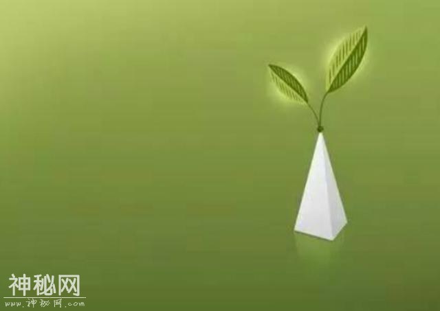 连接万物的物联网，物联网关键技术基础：移动互联网技术-4.jpg