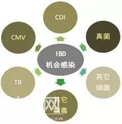 当细菌遇上IBD-2.jpg