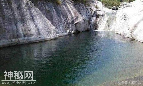 湖北洪湖龙潭水怪之谜，揭秘500余人看到的水怪究竟是什么-2.jpg