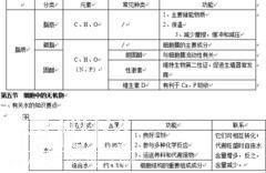 高中生物必修1复习提纲-5.jpg