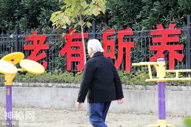 「科普」养老金怎么交？怎么补？怎么领？怎么继承？-3.jpg