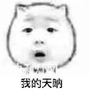 补充蛋白质依赖蛋白粉？过量或对身体造成负担-5.jpg