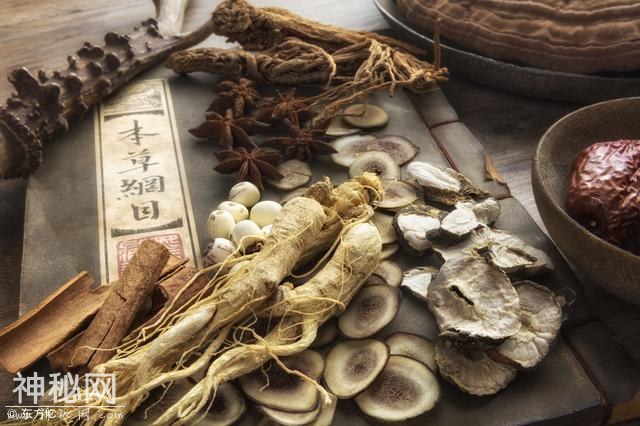 咳嗽痰多，别慌！常食此野菜，清热解毒、止咳祛痰-2.jpg
