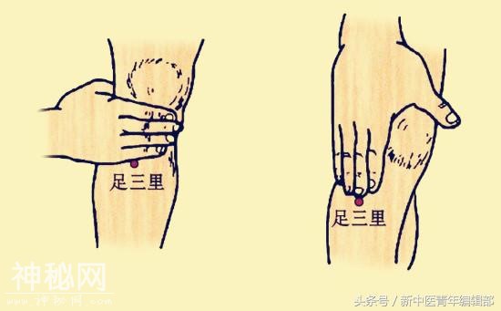 常用艾灸保健穴-1.jpg