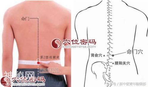 常用艾灸保健穴-4.jpg
