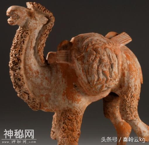 茅坡村考古散记：一个考古工作者的真实状态-1.jpg