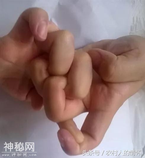 道教各种手决-1.jpg