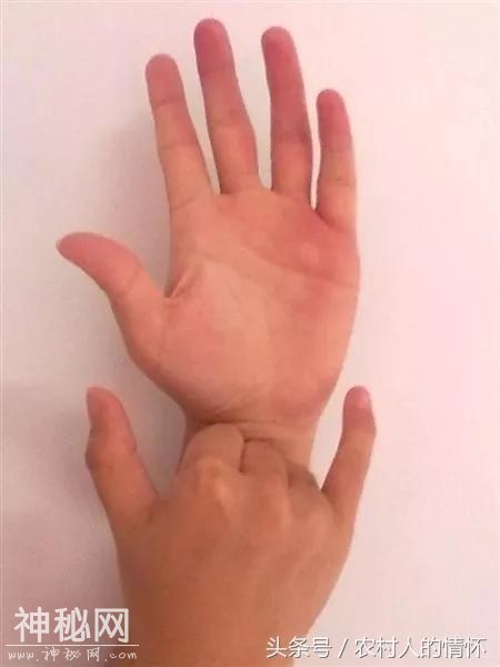 道教各种手决-9.jpg