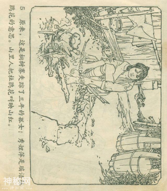 「DD」农业学大寨故事连环画：《飞鹰崖》（广东版1975年）-9.jpg