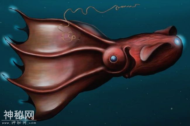 世界十大海底恐怖生物-7.jpg