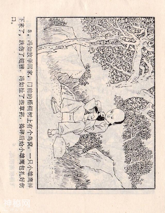 「DD」人物故事连环画：《第一个飞上蓝天的中国人》-6.jpg
