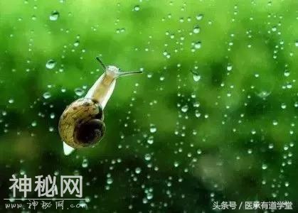 身体湿气——就这样一推排除身体之外-1.jpg