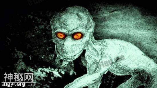 神秘的未知生物 你知道几种-5.jpg