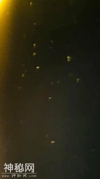 UFO爱好者声称NASA隐瞒事实，外星舰队在太阳附近窃取能量-4.jpg