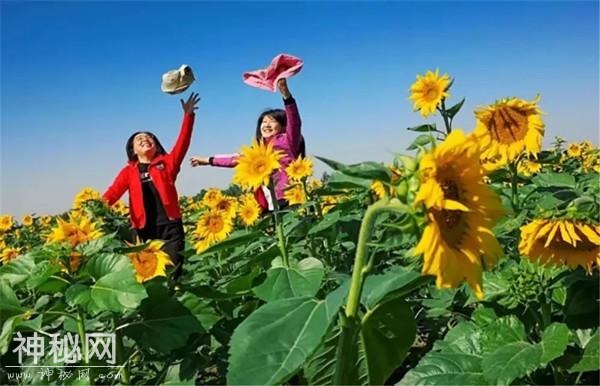 国庆假期第二天的济南：文旅活动人文展览样样齐全-8.jpg