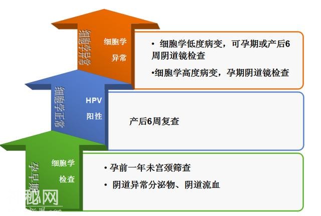 妊娠期查出HPV阳性，怎么办？-3.jpg