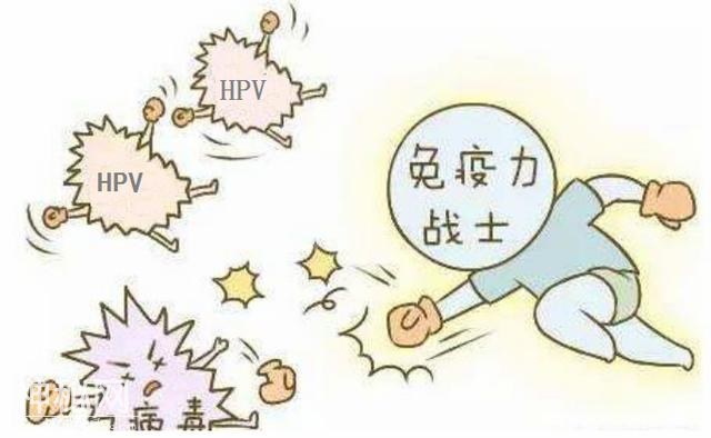 妊娠期查出HPV阳性，怎么办？-2.jpg