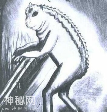 人类未知的神秘生物，他们是否存在-7.jpg