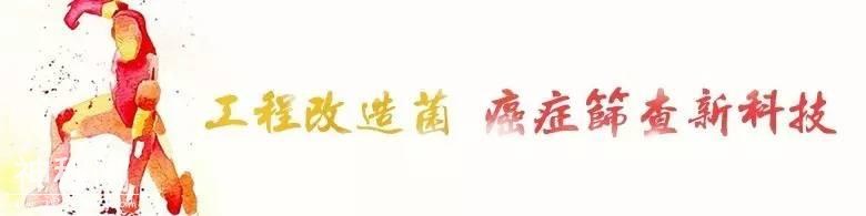细菌联盟，闻所未闻的细菌抗癌大法 | 热点-3.jpg