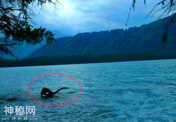 揭秘传说中的8大水怪尼斯湖水怪最久远，钱普水怪最神秘-3.jpg