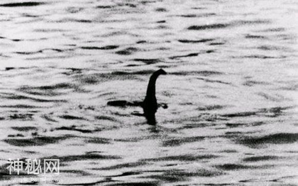 揭秘传说中的8大水怪尼斯湖水怪最久远，钱普水怪最神秘-1.jpg