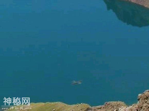 揭秘传说中的8大水怪尼斯湖水怪最久远，钱普水怪最神秘-2.jpg