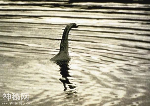 英国女子尼斯湖“奇遇”水怪 手机拍到多张水怪照片-2.jpg