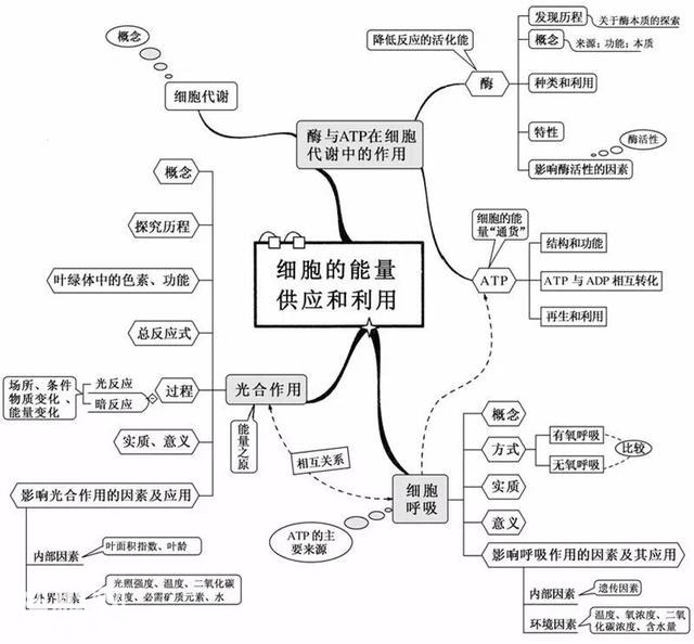 高中生物：这20张思维导图从此生物无忧-5.jpg