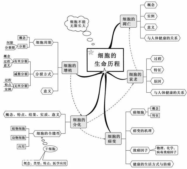 高中生物：这20张思维导图从此生物无忧-6.jpg