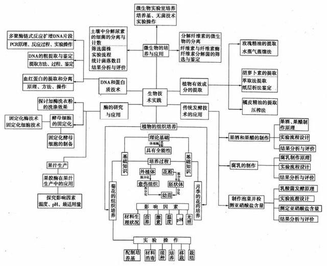 高中生物：这20张思维导图从此生物无忧-20.jpg