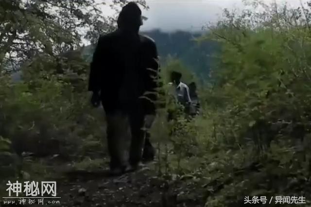 神农架野人神秘事件！是子虚乌有还是确有此事-4.jpg