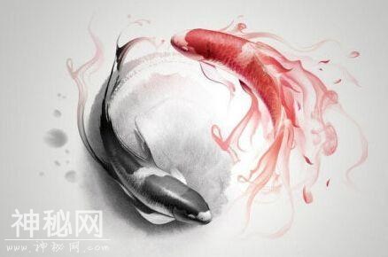 中医阴阳学说，能诠释人体的生命现象吗？-3.jpg