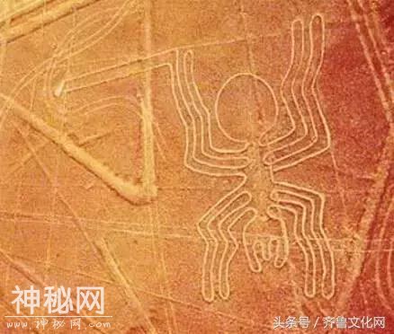 33个无法解释的自然现象-26.jpg