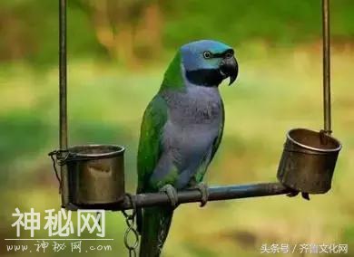 33个无法解释的自然现象-30.jpg