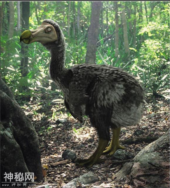 十大最可能死而复生的动物，还有人类，你最期待哪一个-4.jpg