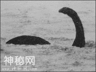 地球十大未知生物，一半来自中国，最后一个最有名-2.jpg