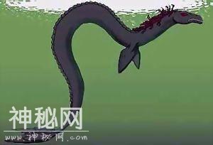 地球十大未知生物，一半来自中国，最后一个最有名-5.jpg
