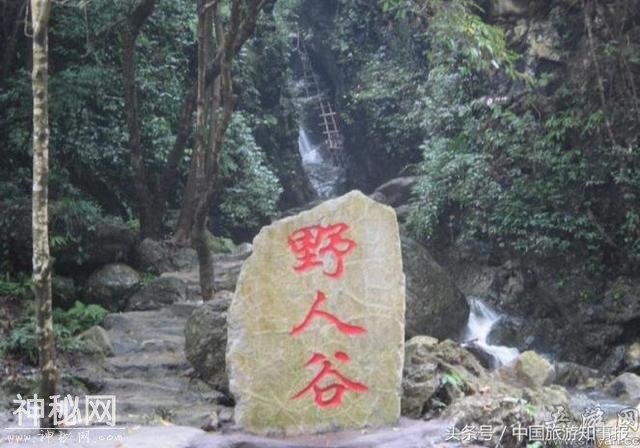 90年代云南沧源“野人”之谜-1.jpg