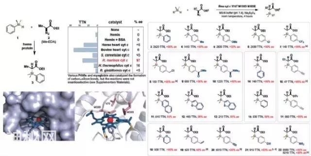 有机化学与生命科学的碰撞 ——2016年生物有机化学热点回眸-7.jpg