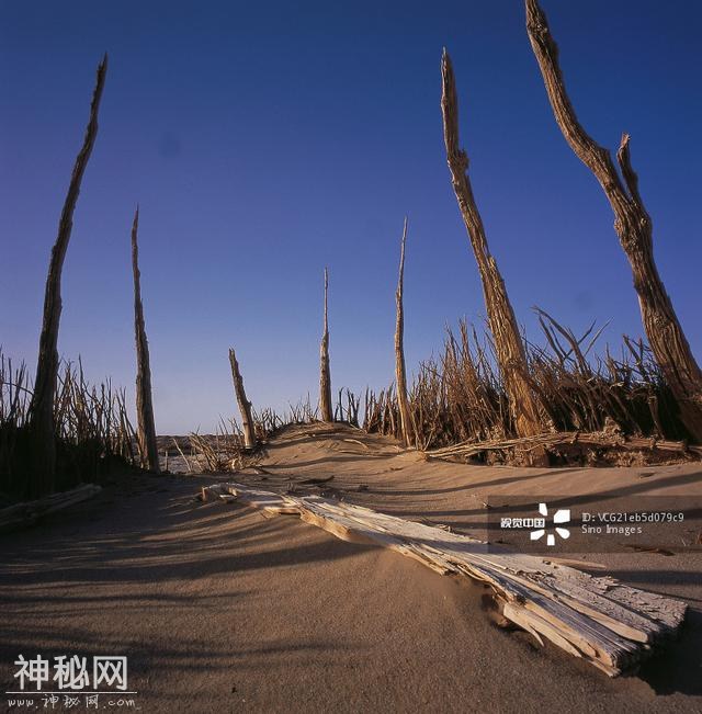 罗布泊还可能在恢复往日生机吗？-2.jpg